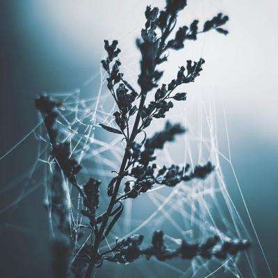 kaiyun体育下载入口截图