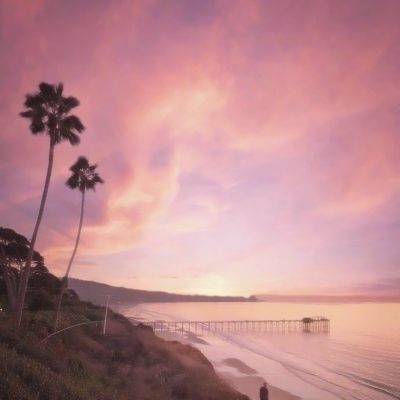 m6米乐网页版登录入口手机app下载