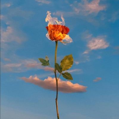 澳门新葡萄新京8883手机app下载