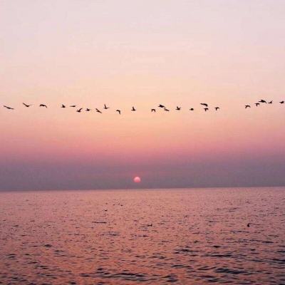 天健棋牌下载手机版