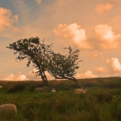 am8亚美ag旗舰厅官网截图