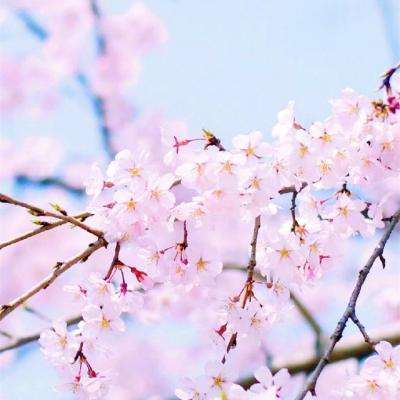 am8亚美ag旗舰厅官网截图