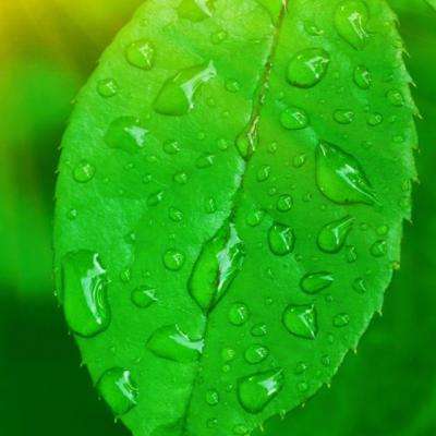 万博体育App全站下载